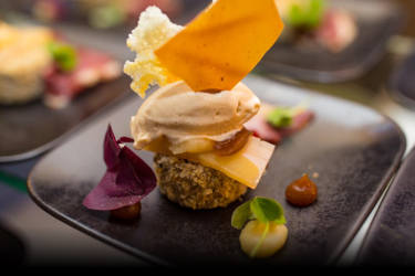 Stilvoll angerichtetes Fine-Dining-Dessert bei einem Eventcatering in Würzburg von Markus Grein Catering.