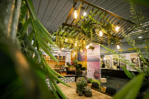 Mit vielen Pflanzen und Lampen dekorierter Messestand in Frankfurt mit Messe-Catering von Markus Grein Catering.