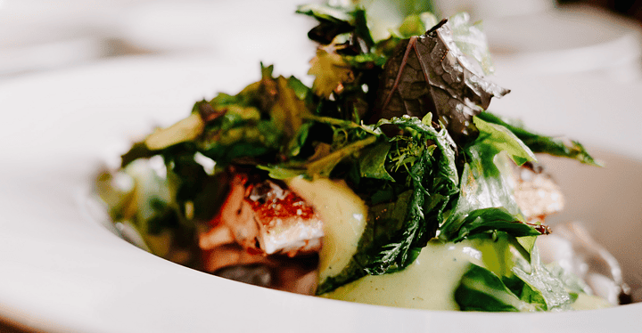Salat mit gebratenem Fisch und Kräutersauce – Vier-Gänge-Menü Gala-Dinner Franken Classics