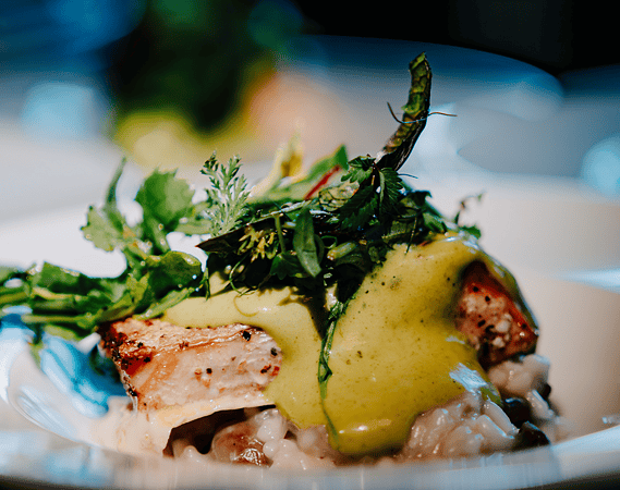 Gebratenes Fleisch auf Risotto mit gelber Sauce – Hauptgang Gala-Dinner Franken Classics 2026